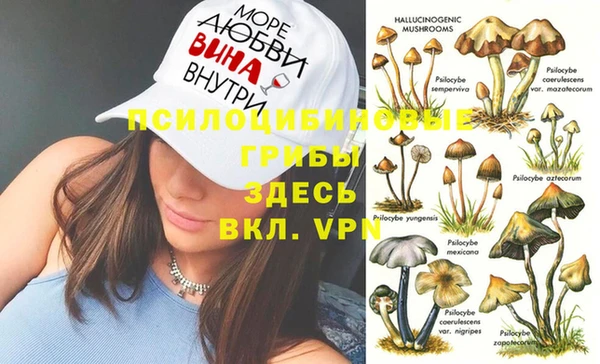 прущая мука Дмитров