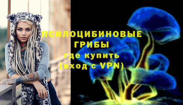 метадон Дмитриев
