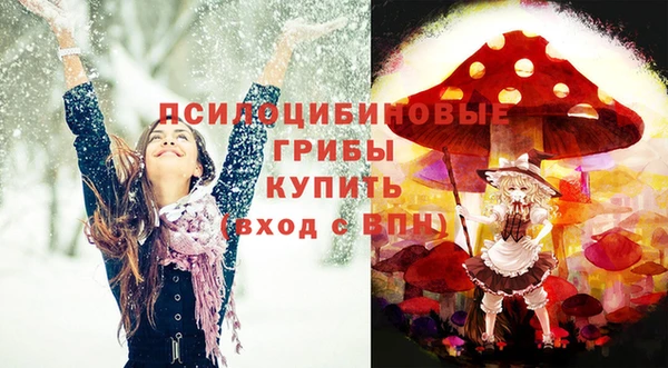 прущая мука Дмитров