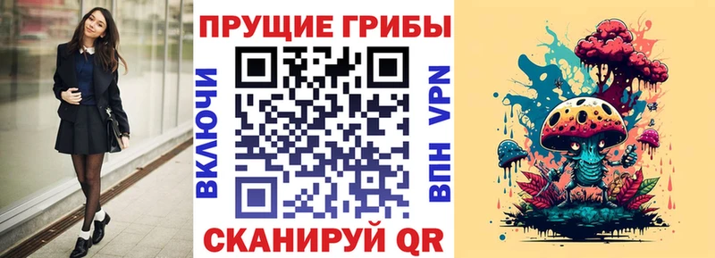 Галлюциногенные грибы Psilocybe  продажа наркотиков  Стерлитамак 